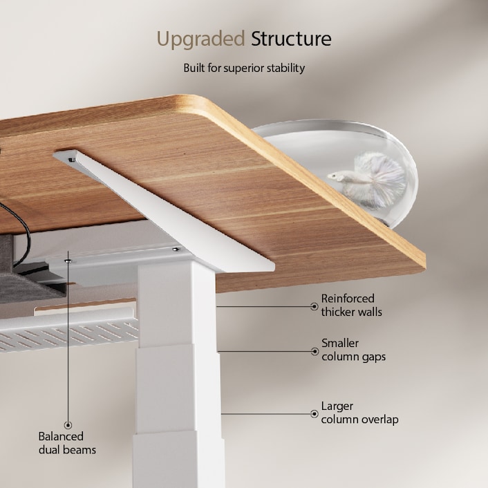 Premium Standing Desk E7 Pro | Flexispot